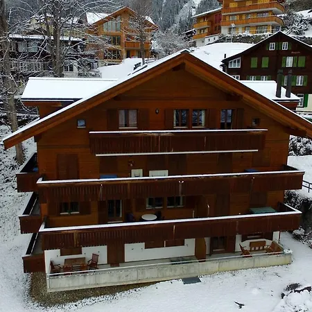 Roossi-huus 2 Apartment Wengen