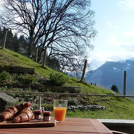 Roossi-huus 2 * Wengen